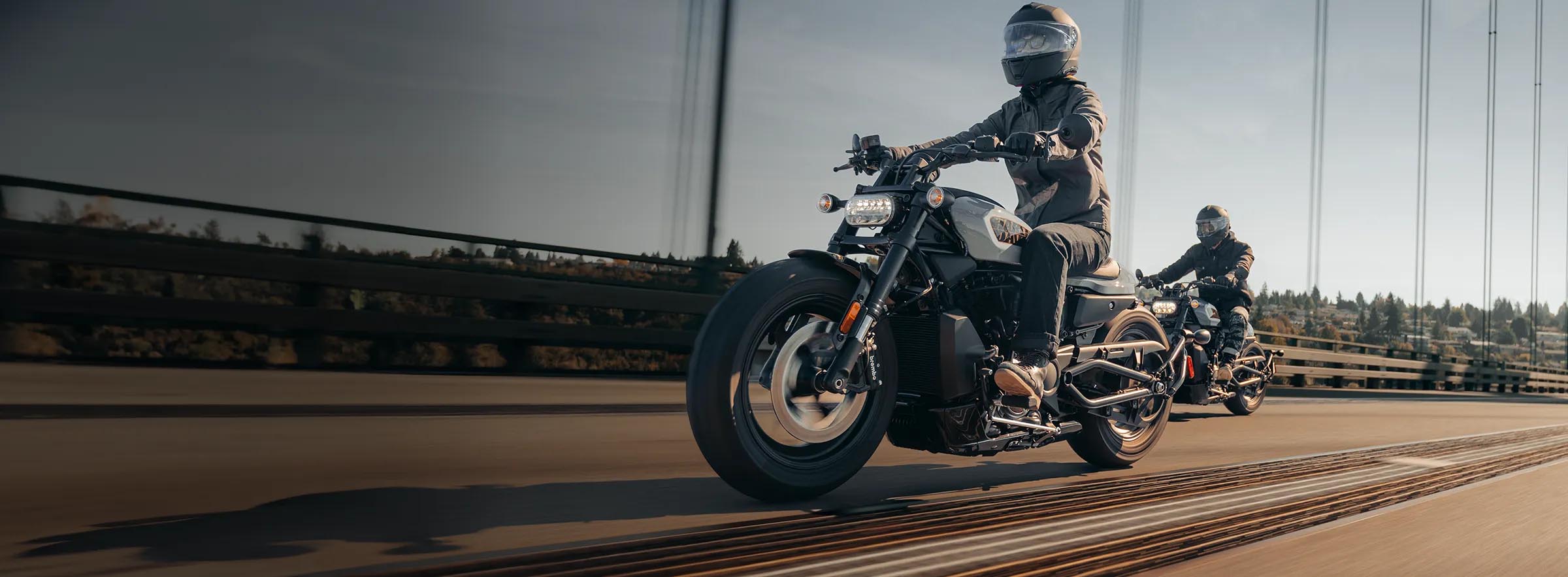 Sportster™ S
